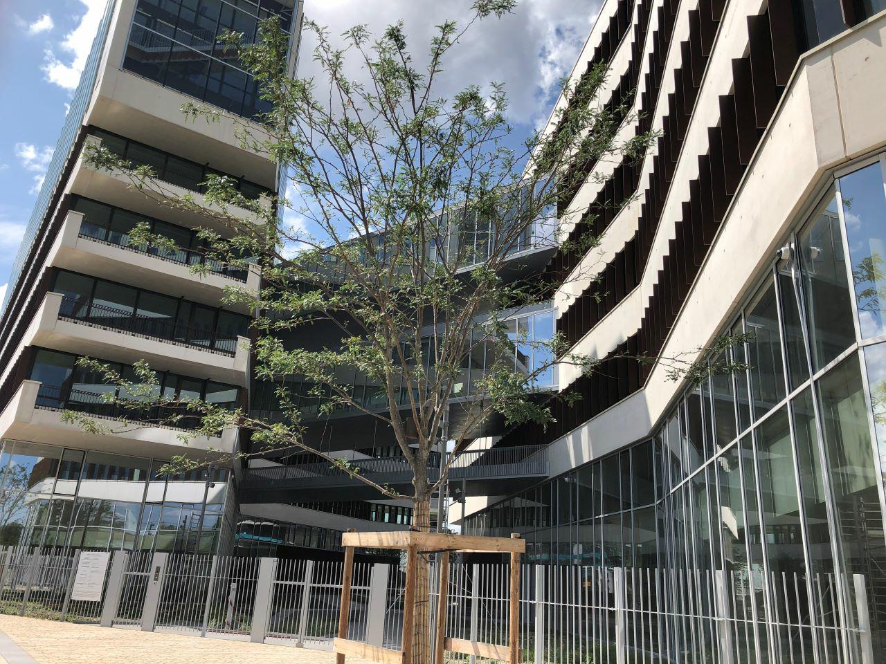 Bureau Villeurbanne 4772m² Location bureau Villeurbanne Rhône OLBUR2110467 1